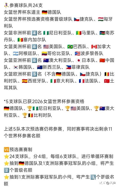 2026世界杯投注平台推荐：安全与实用性对比